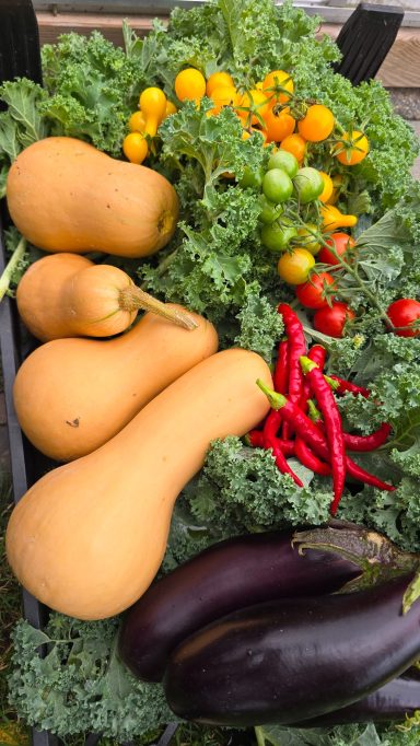 Diverse groenten: pompoenen, cherrytomaten, paprika's en groene bladeren.