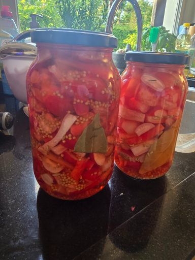Twee glazen potten met ingemaakte groenten en een heldere, kleurrijke inhoud.