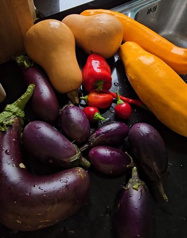 Variërende groenten waaronder aubergines, pompoen, en bloedsinaasappels.
